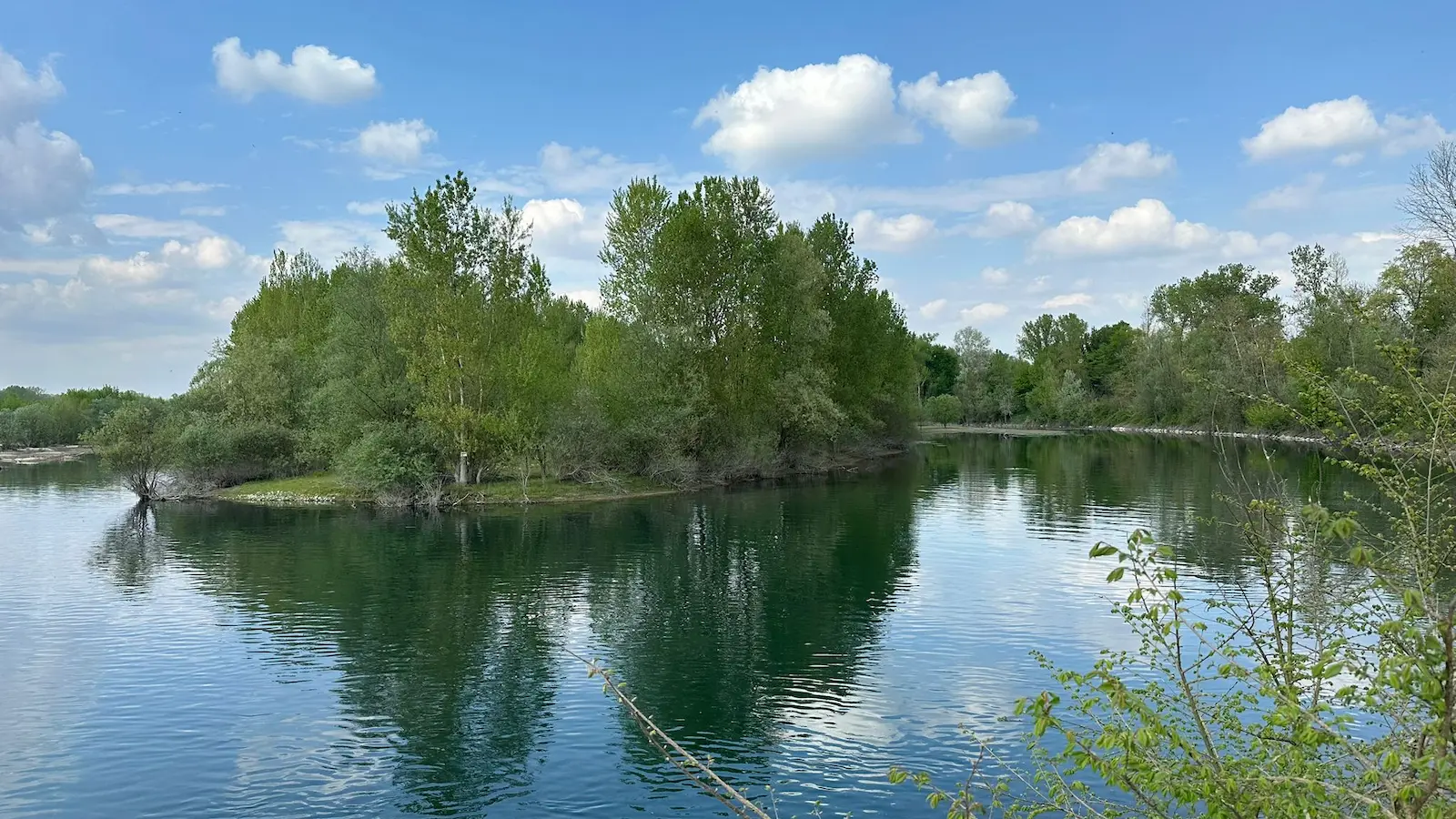 Nordic Walking nel Parco del Ticino